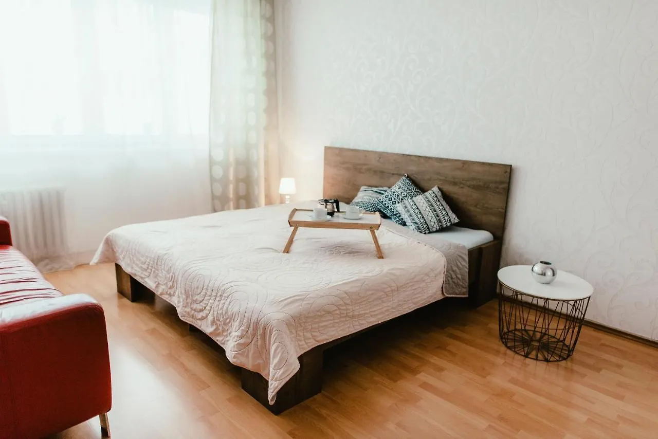 Old Town Apartment Pellicova Brno