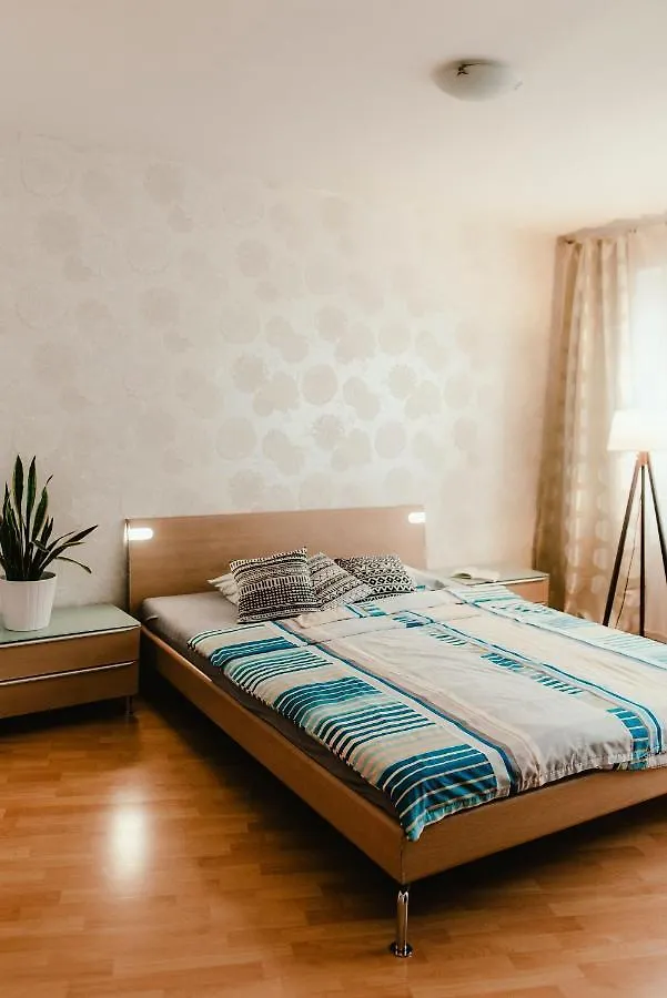 Old Town Apartment Pellicova Brno